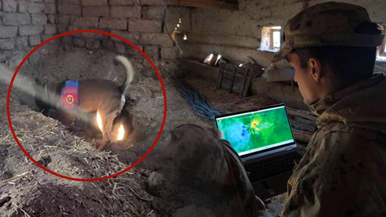 14 yıllık sır kaybın ardından cinayet çıktı! Katili meğer en yakınıymış 14 yıllık sır kaybın ardından cinayet çıktı! Katili meğer en yakınıymış