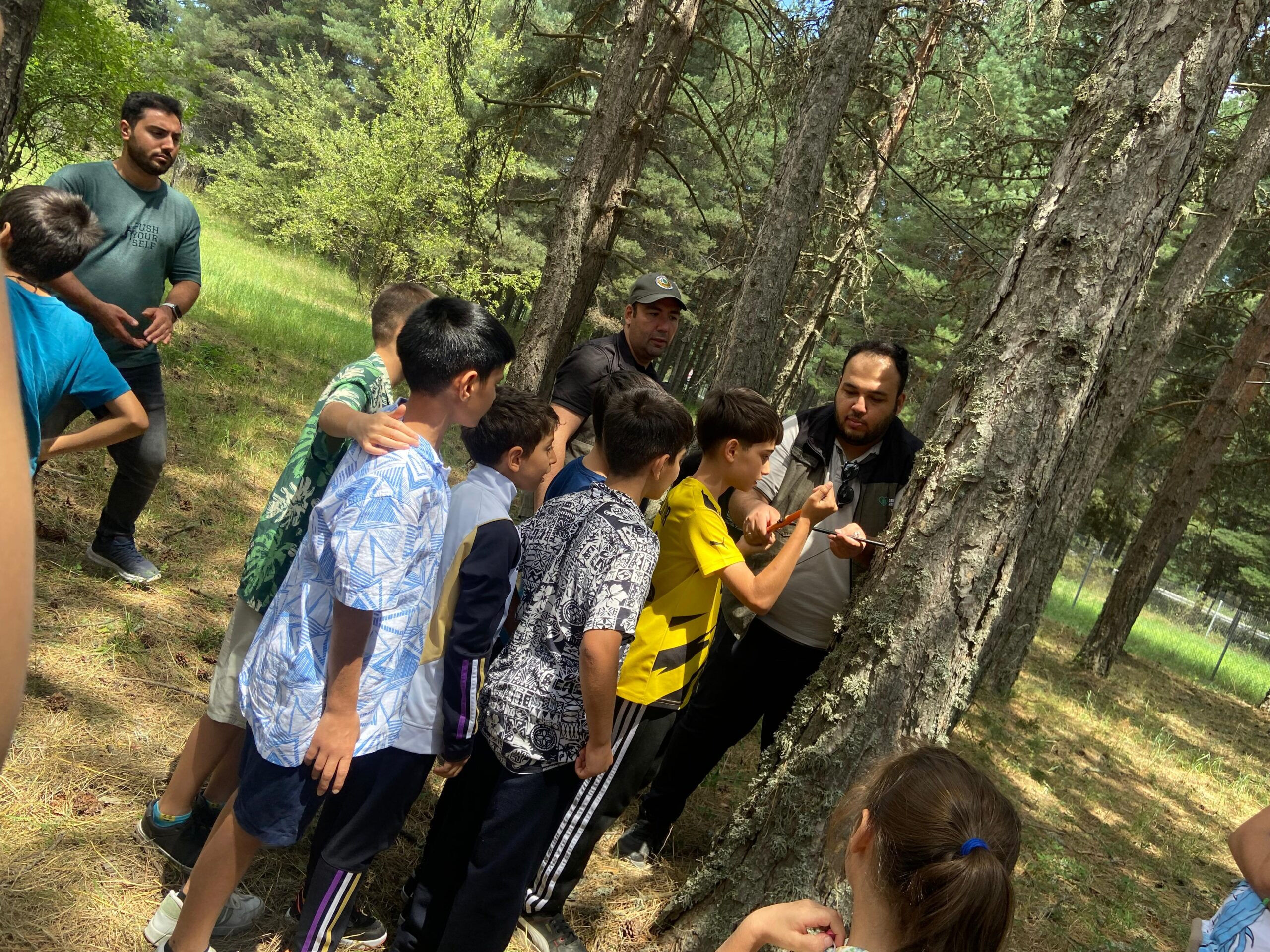 30 ilde orman okulu kurulacak! 40 bin öğrenciye eğitim verildi 30 ilde orman okulu kurulacak! 40 bin öğrenciye eğitim verildi - 2. Resim