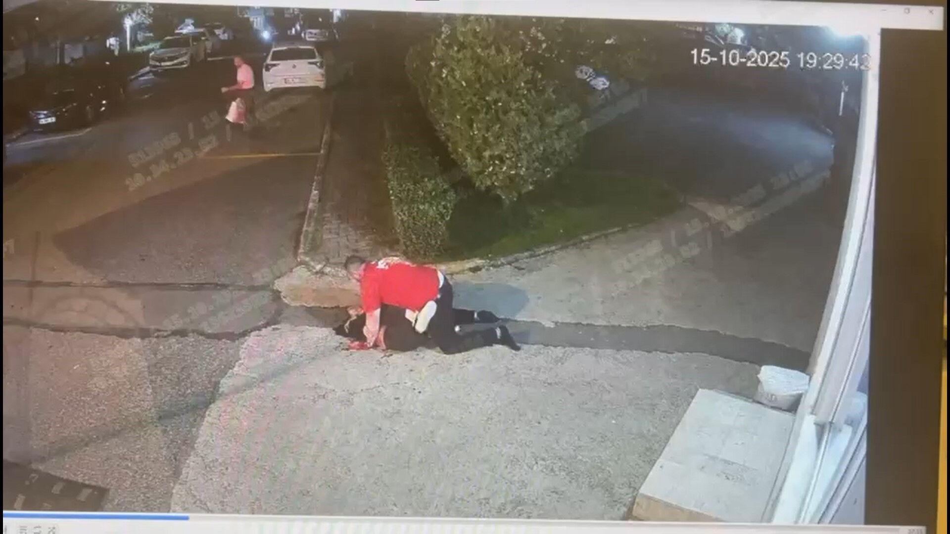 Beykoz'daki dehşetin görüntüleri ortaya çıktı! Kimse dokunamadı, Aysel Karakoç ölüme böyle gitti... - 2. Resim