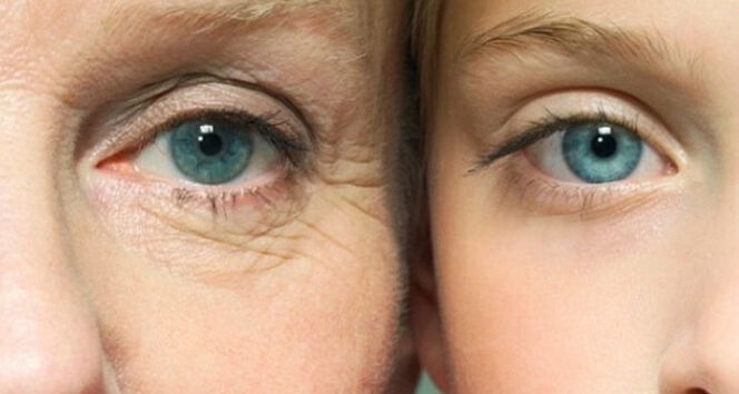 Bildiklerinizi unutun! İşte insan beyninin en verimli olduğu o yaşlar - 2. Resim