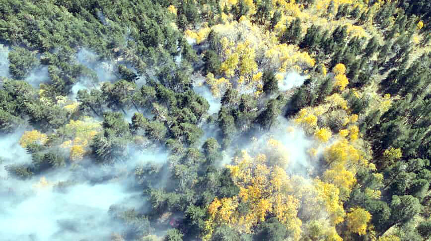 Doğa alarm veriyor, bilim insanları uyarıyor! Ormanlar artık karbon yayıyor - 3. Resim