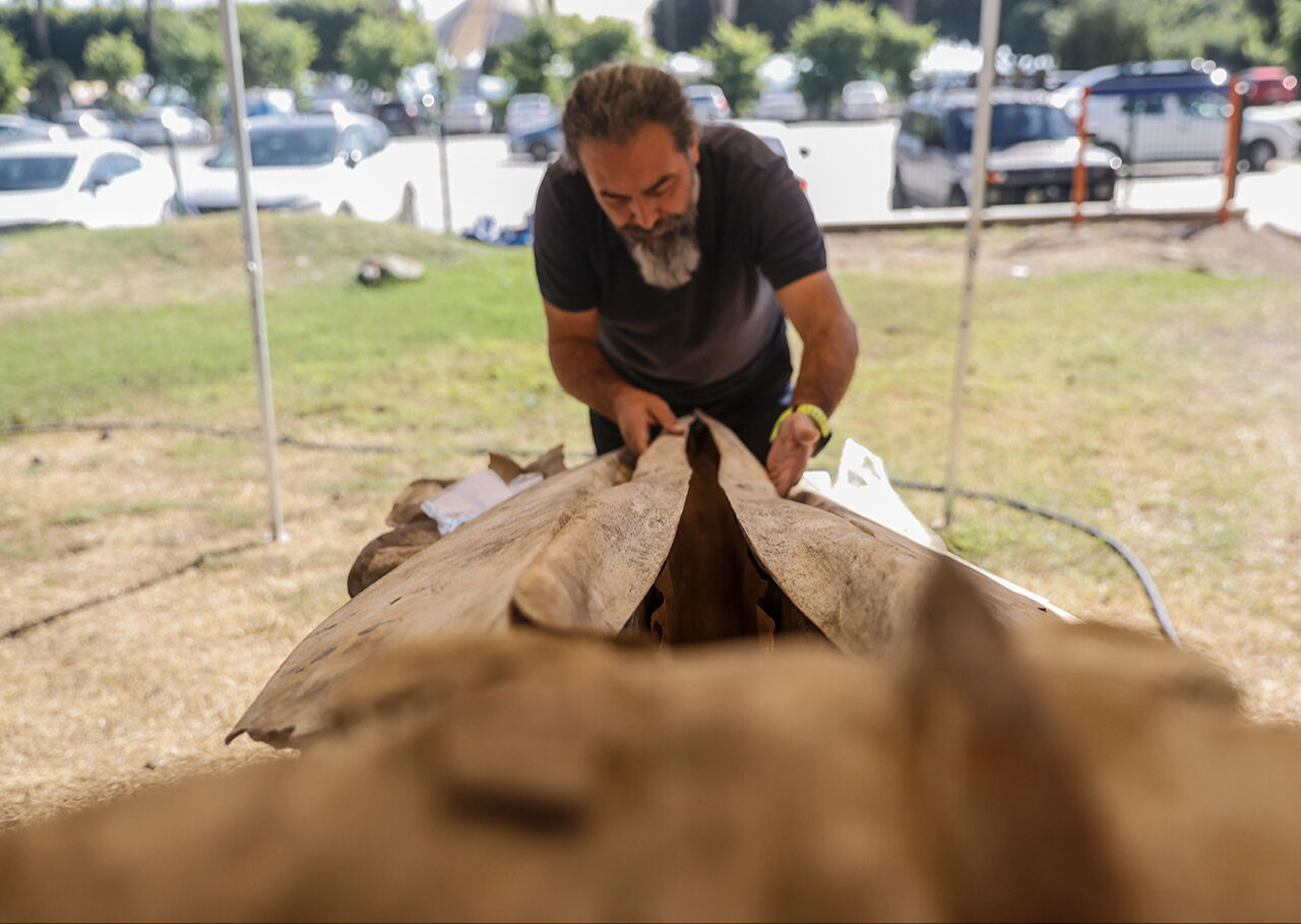 Fin balinasının kemikleri birleştirilmeyi bekliyor! Mersin'de üniversite bahçesine gömülen - 3. Resim