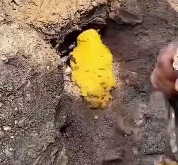 İzleyenler şaşkına döndü: Küreği vurduğu yerden altın fışkırdı - 1. Resim