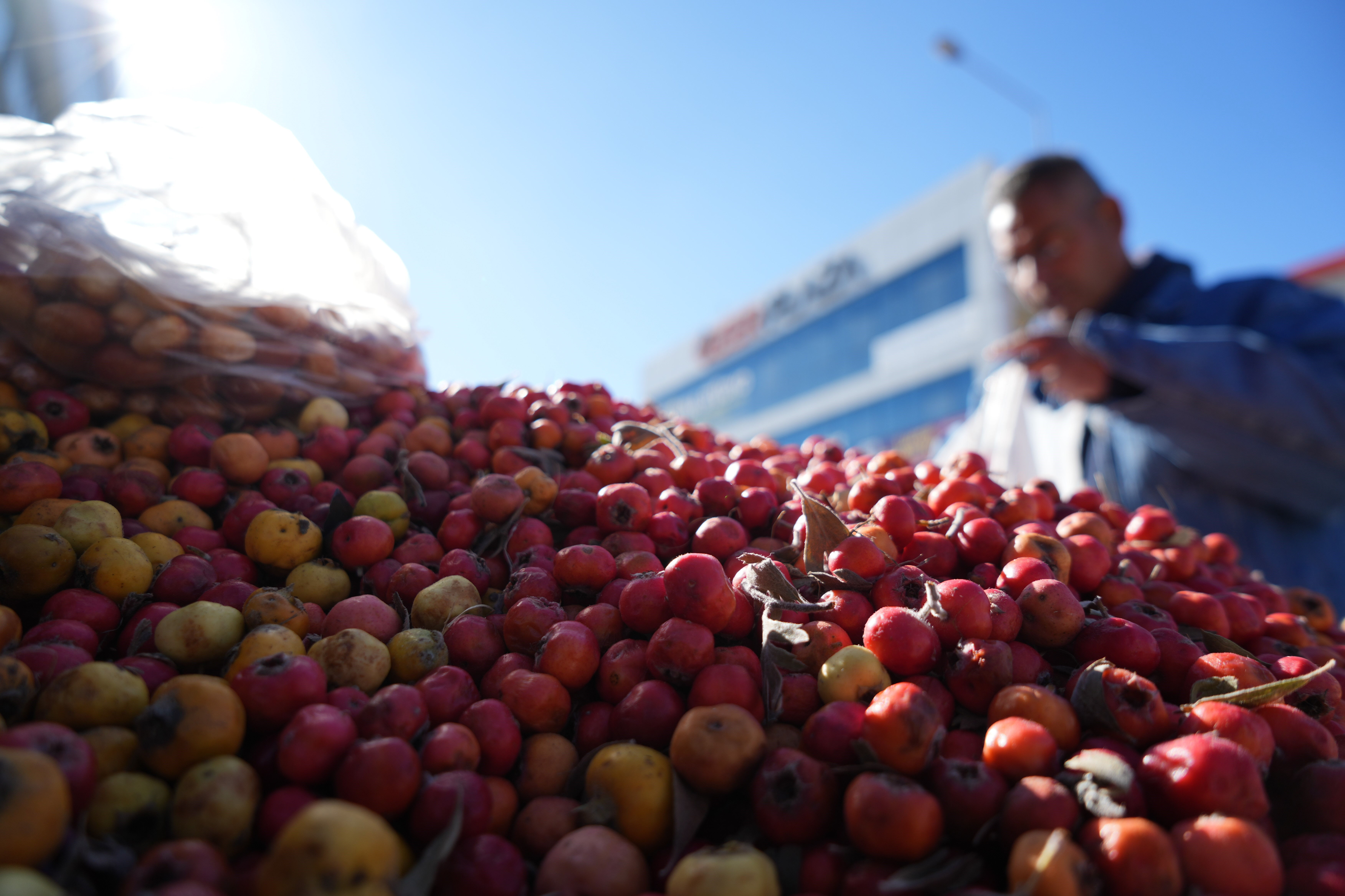 Kalp hastalarının şifa kaynağı: 2 ay tüketenin tüm damarları açılıyor - 1. Resim