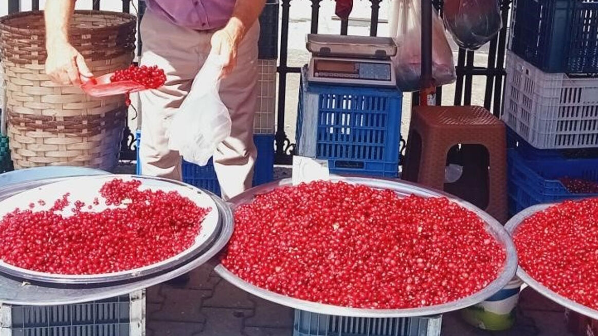 Kalsiyum, demir, magnezyum deposu… Kansere karşı koruyor - 1. Resim