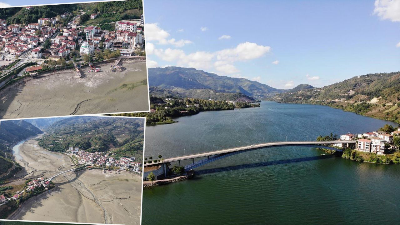 Yaşam