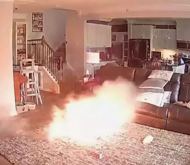 ABD'de facianın eşiğinden dönüldü! Bataryayı ısıran köpek yangın çıkardı - 2. Resim