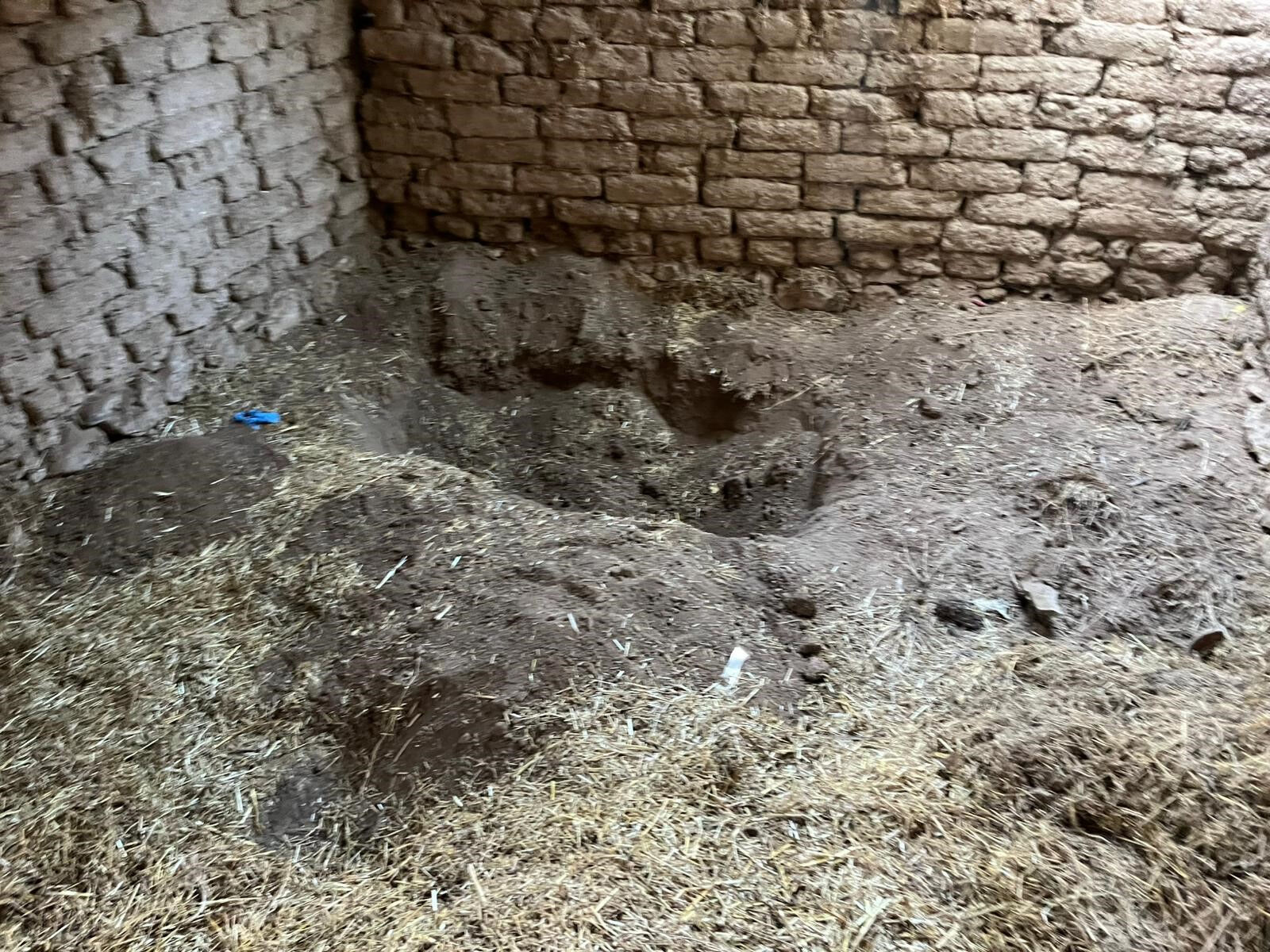 Ağabeyini öldürüp ahırın temeline gömmüştü: 14 yıl sonra gelen itiraf! 