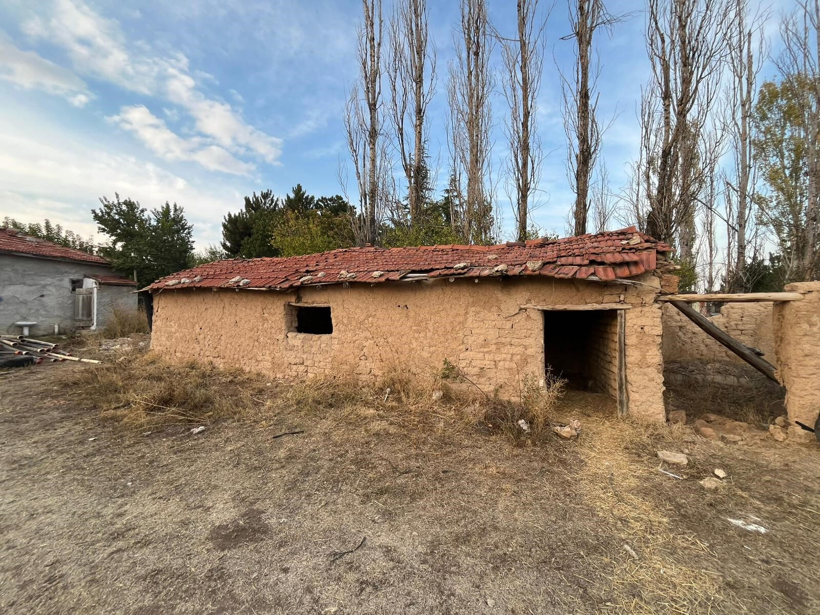 Ağabeyini öldürüp ahırın temeline gömmüştü: 14 yıl sonra gelen itiraf! 