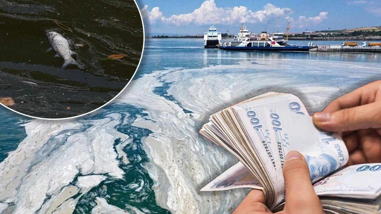 Balıkçılara müsilaj ödemesi: Tarım ve Orman Bakanlığından sevindiren karar yayınlandı Balıkçılara müsilaj ödemesi: Tarım ve Orman Bakanlığından sevindiren karar yayınlandı