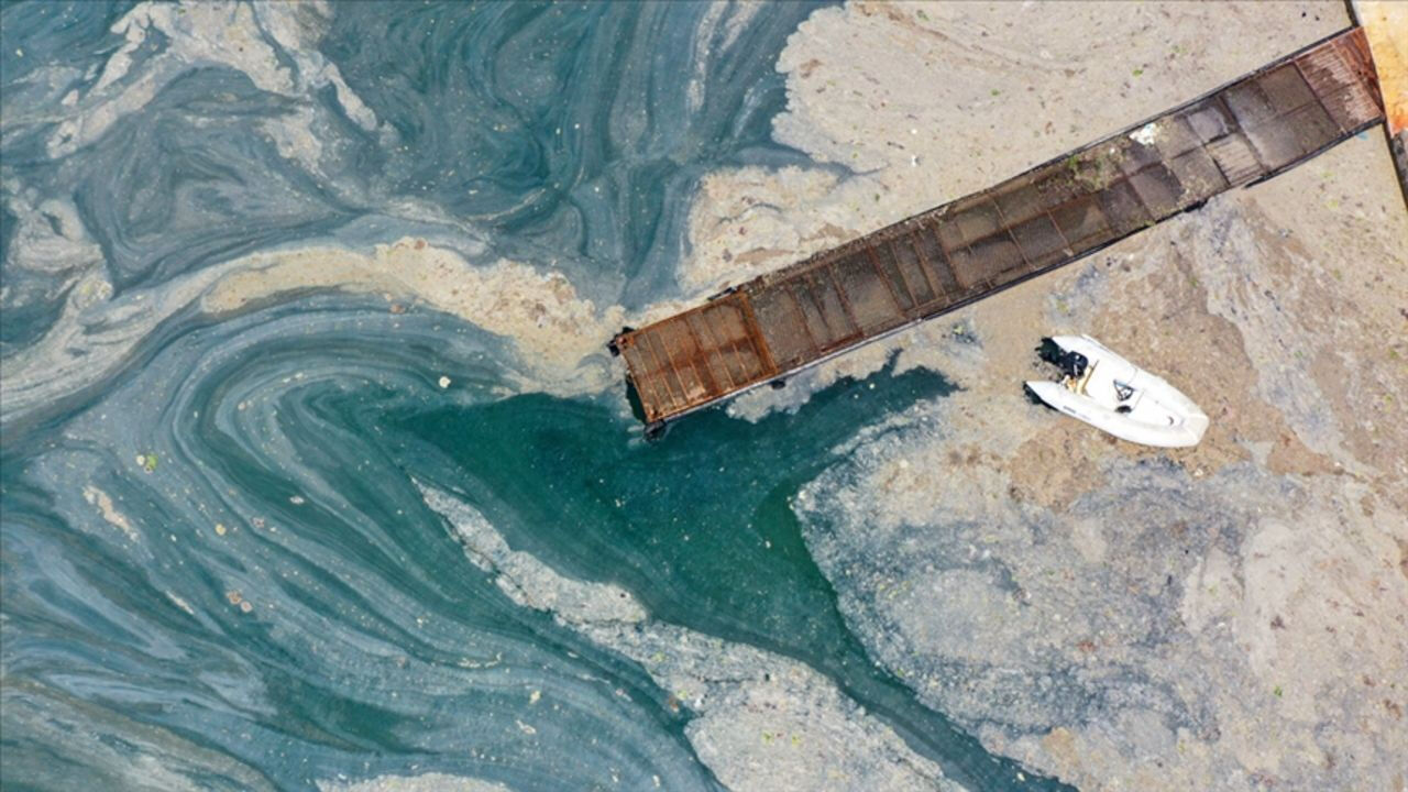 Balıkçılara müsilaj ödemesi: Tarım ve Orman Bakanlığından sevindiren karar yayınlandı - 1. Resim