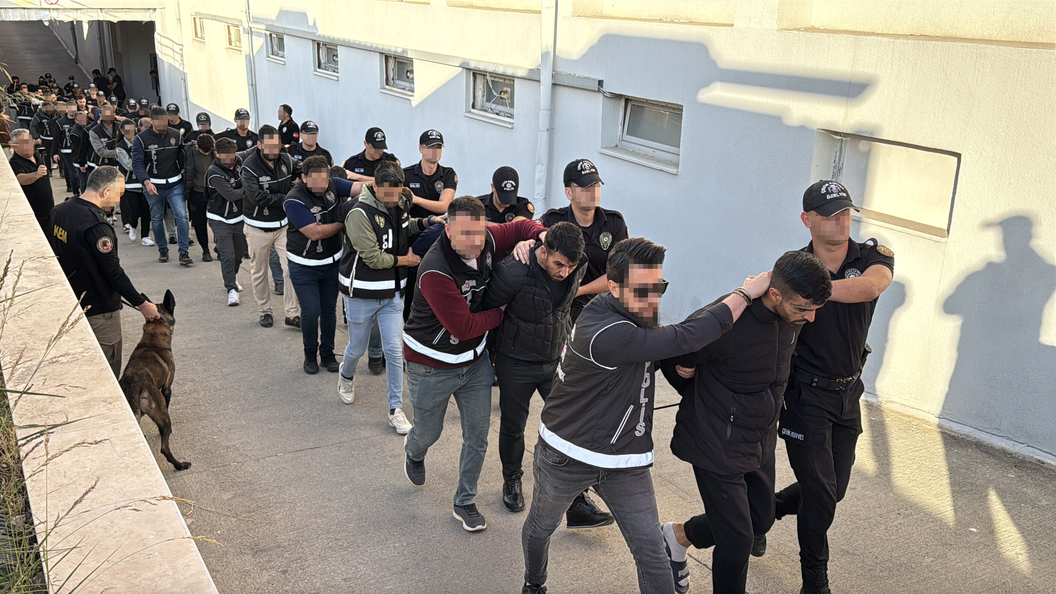 'Bayğaralar' çetesine dev operasyon! 54 ayrı suç, 96 tutuklama... - 1. Resim