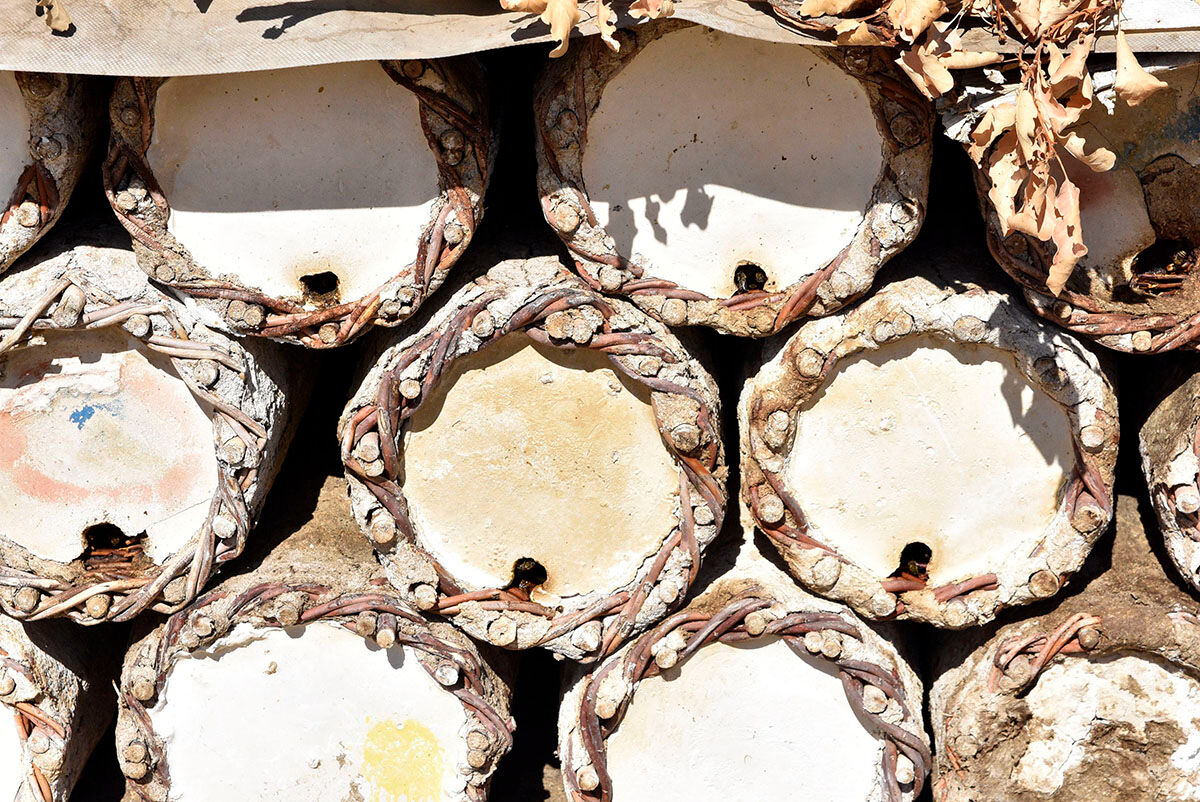 Bitlis karakovan balı için hasat dönemi başladı: Tadı dünya çapında benzersiz, fiyatı belli oldu - 3. Resim