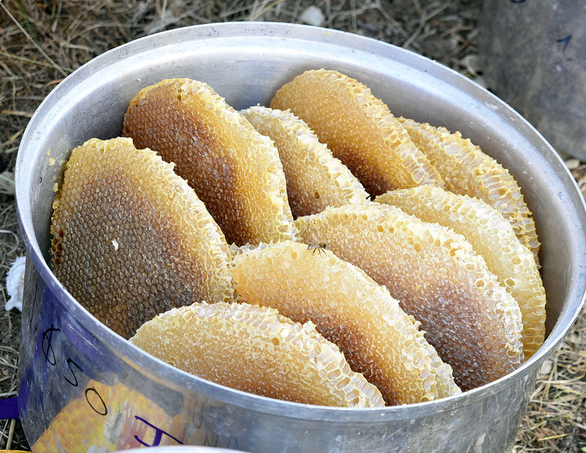 Bitlis karakovan balı için hasat dönemi başladı: Tadı dünya çapında benzersiz, fiyatı belli oldu - 6. Resim