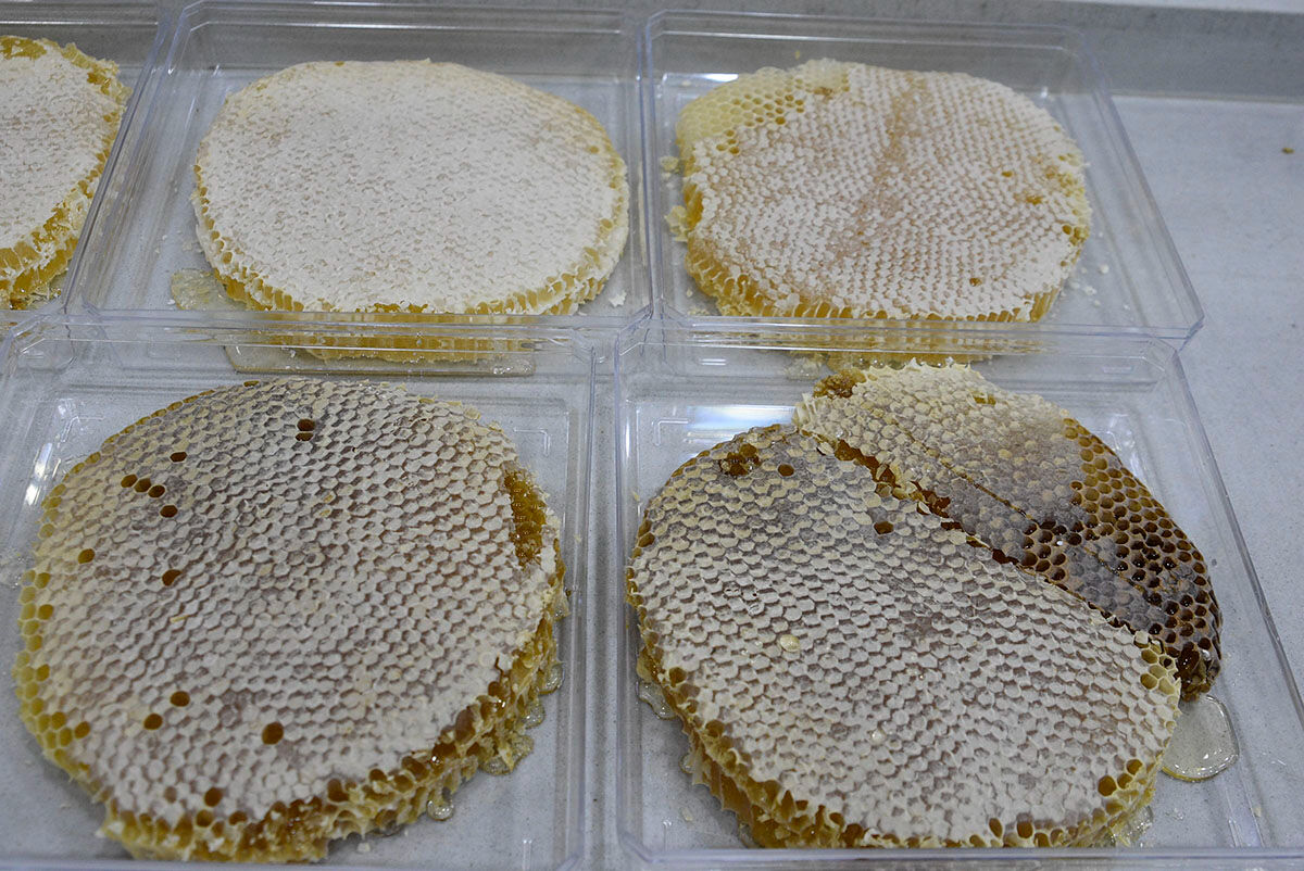 Bitlis karakovan balı için hasat dönemi başladı: Tadı dünya çapında benzersiz, fiyatı belli oldu - 7. Resim