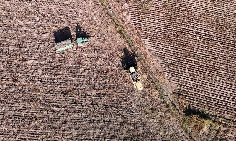 Sivas’ta hasat sevinci yüz güldürdü… Dönüm başına 300 kilo ürün alınacak - 1. Resim