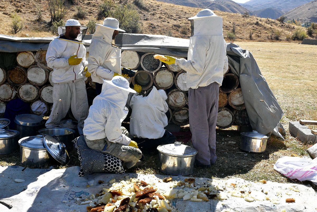 Tadı dünya çapında benzersiz, fiyatı belli oldu: Bitlis karakovan balı için hasat dönemi başladı - 1. Resim
