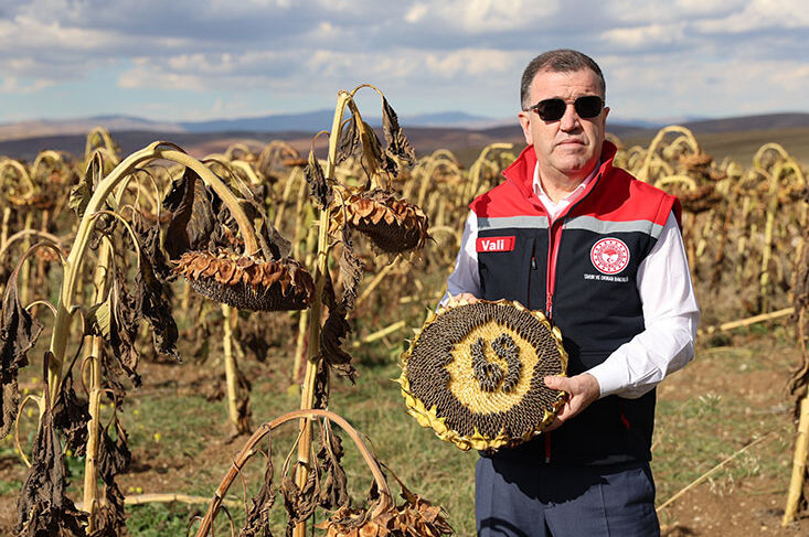 Ekim alanı genişledi, üreticinin yüzü güldü! 