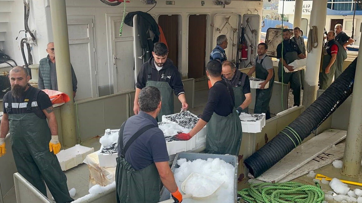 Karadeniz'den hamsi fışkırıyor! Kilosu bakın kaç liraya düştü - 2. Resim