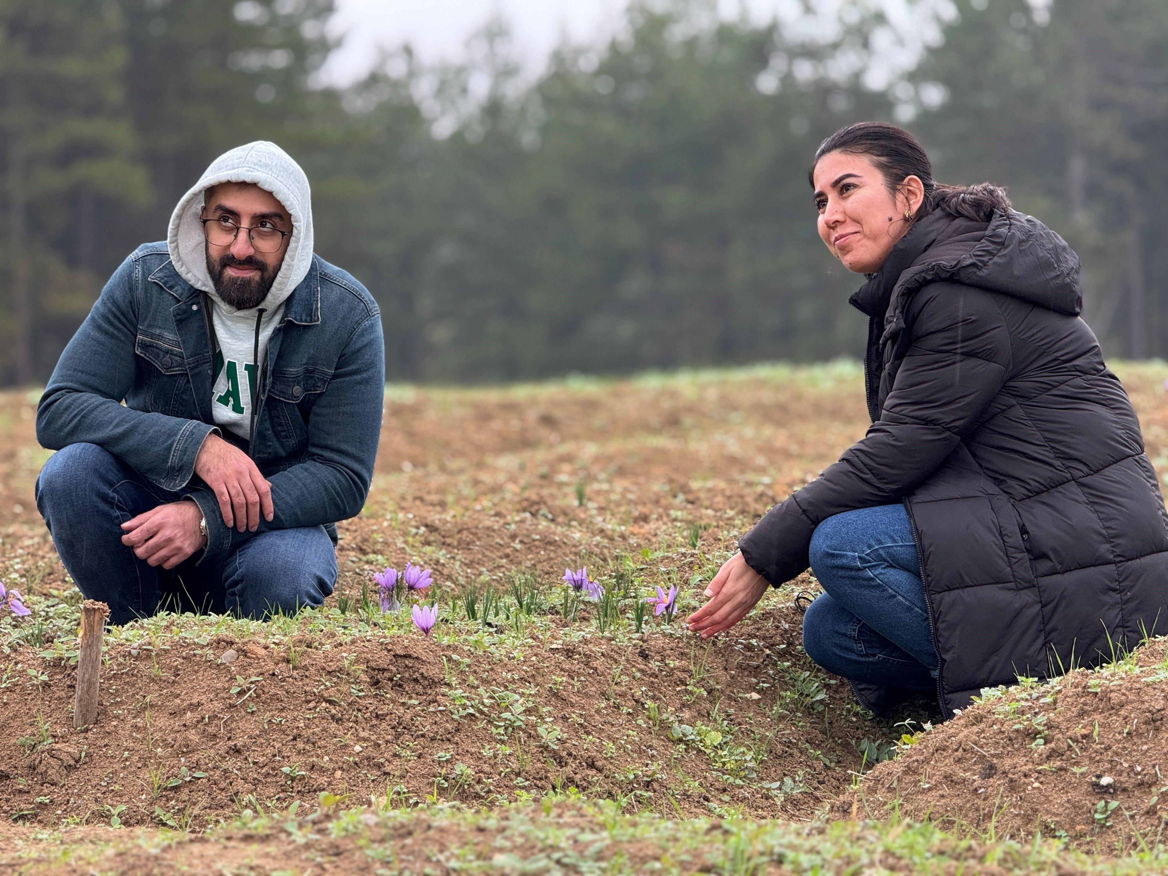 Kilosu 450 binden 650 bin liraya çıktı! Karadeniz'de altın değerinde hasat başladı - 2. Resim
