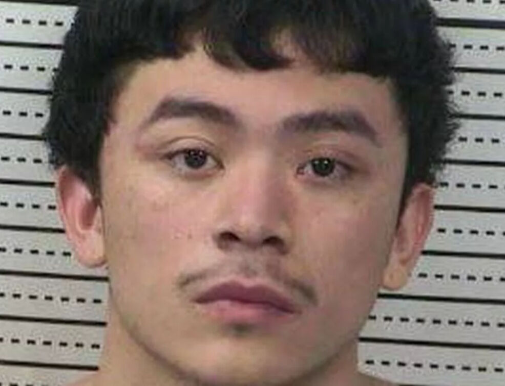 ABD'de evlat dehşeti! Uyuyan annesini 11 kez bıçakladı - 1. Resim