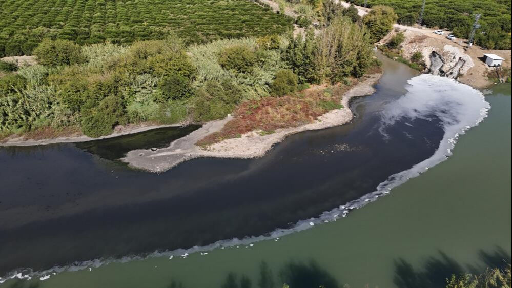 Ceyhan Nehri alarm veriyor! Kirlilik nedeniyle balıklar telef oldu - 2. Resim