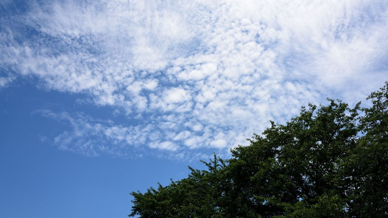 Deprem bulutları gerçek mi, nedir? Cirrocumulus bulutları merak ediliyor - 3. Resim