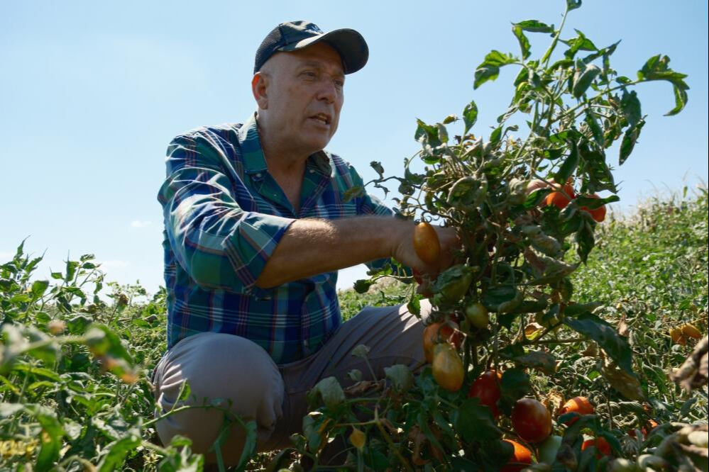 Dil öğrenmek için gittiği Londra'da hayatı değişti! Azar azar başladı, bin dönüme ulaştı... Dil öğrenmek için gittiği Londra'da hayatı değişti! Azar azar başladı, bin dönüme ulaştı... - 2. Resim