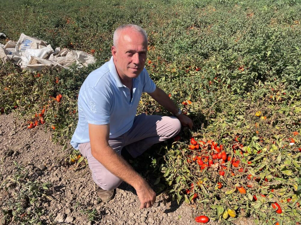 Dil öğrenmek için gittiği Londra'da hayatı değişti! Azar azar başladı, bin dönüme ulaştı... Dil öğrenmek için gittiği Londra'da hayatı değişti! Azar azar başladı, bin dönüme ulaştı... - 3. Resim