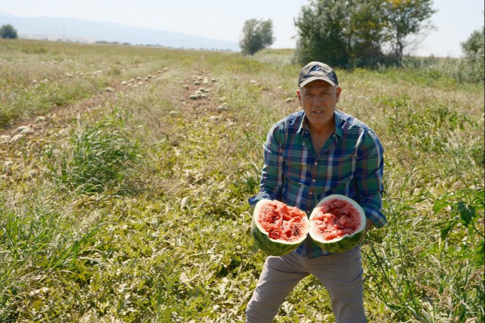 Dil öğrenmek için gittiği Londra'da hayatı değişti! Azar azar başladı, bin dönüme ulaştı... Dil öğrenmek için gittiği Londra'da hayatı değişti! Azar azar başladı, bin dönüme ulaştı... - 1. Resim