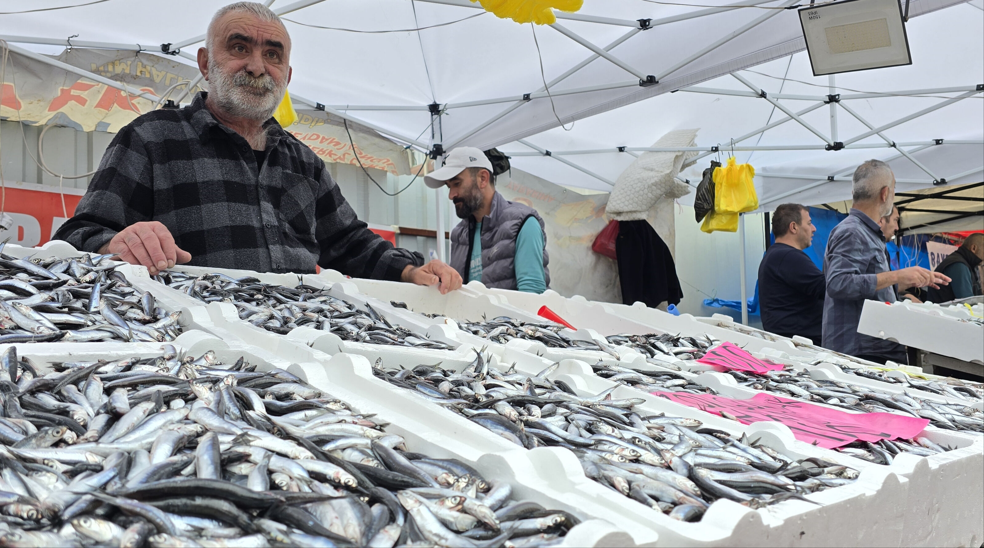 Hamsi bollaştı, fiyat düştü! Kilosu bakın kaç lira oldu Hamsi bollaştı, fiyat düştü! Kilosu bakın kaç lira oldu - 1. Resim