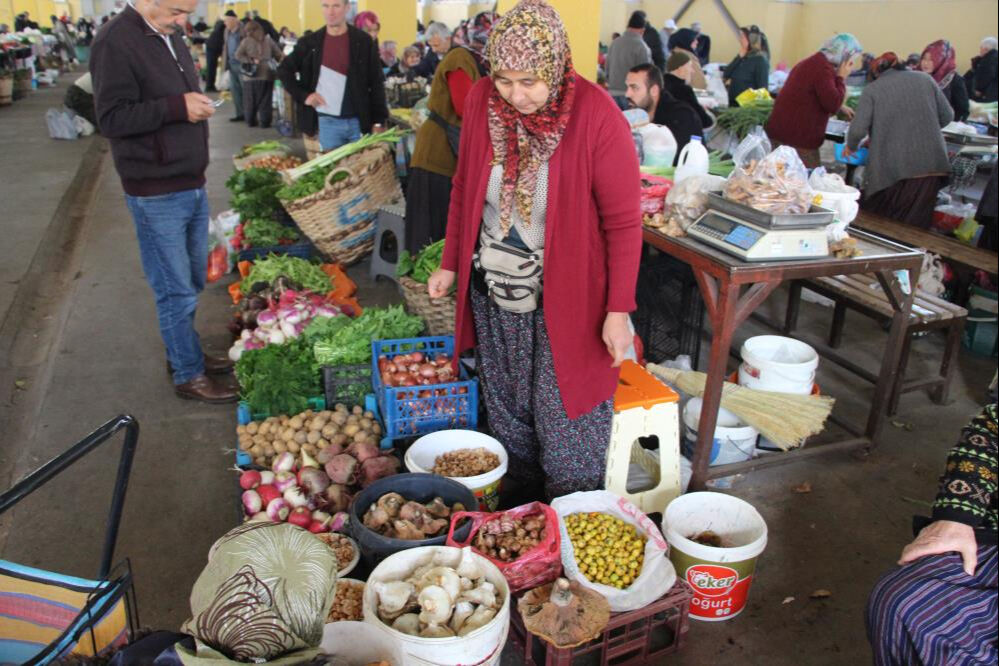 Ormandan kova kova mantar topladılar: Pazarda kilosunu 400 liradan sattılar! - 2. Resim