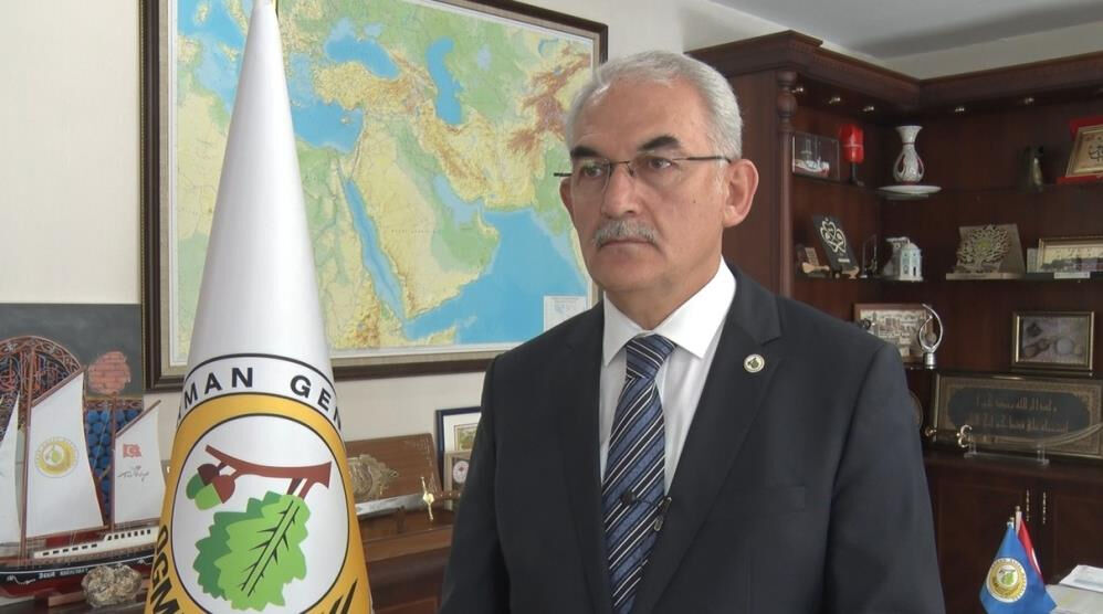 Ormanlar küllerinden doğuyor! Yanan alanlar yeniden yeşeriyor Ormanlar küllerinden doğuyor! Yanan alanlar yeniden yeşeriyor - 1. Resim