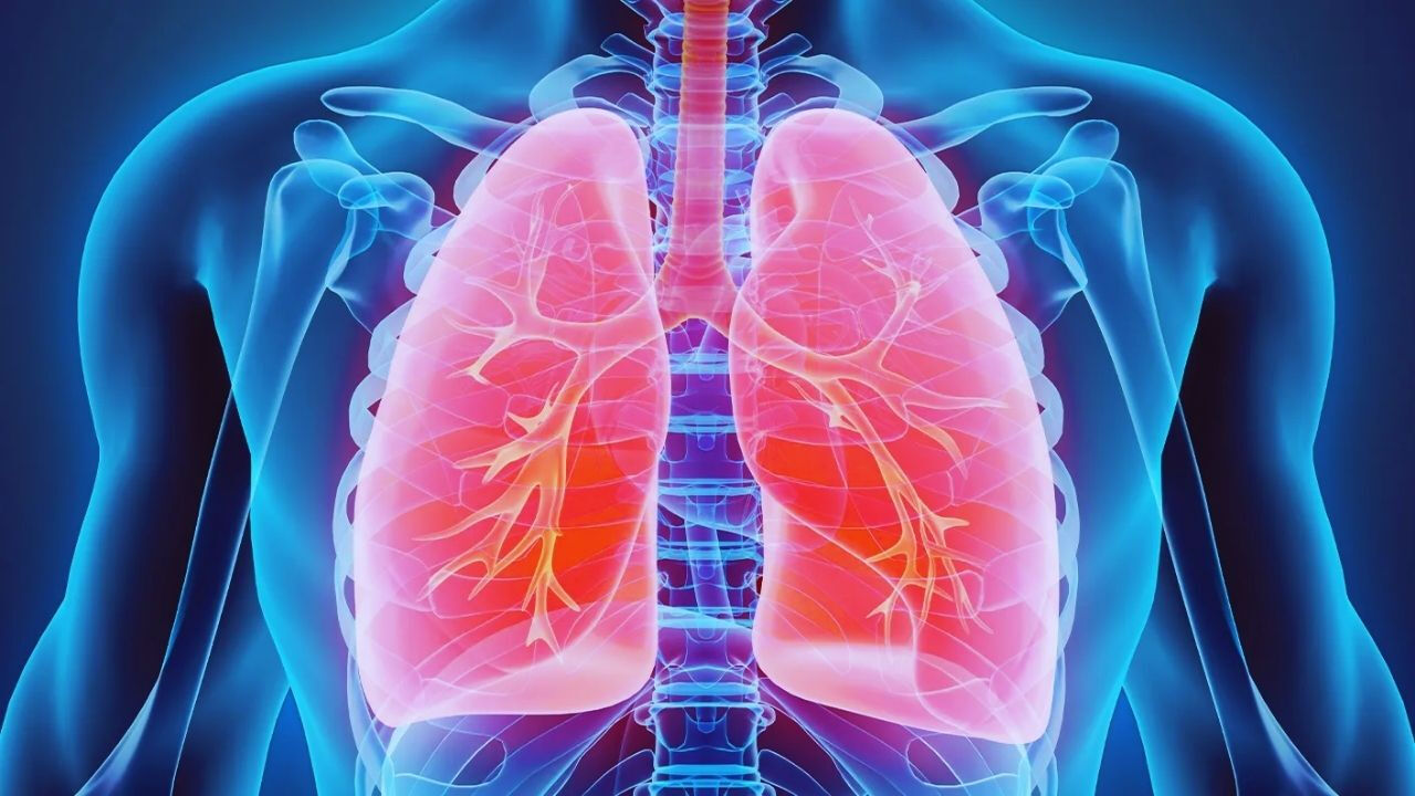 Sağlığınızı buna borçlu olabilirsiniz: İç çekmek akciğerlerinizi iyileştirebilir! - 1. Resim