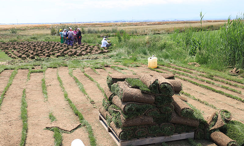 100 bin metrekareden 5 milyona… Küçük köyde başladı, dev kulüpler sıraya girdi - 1. Resim