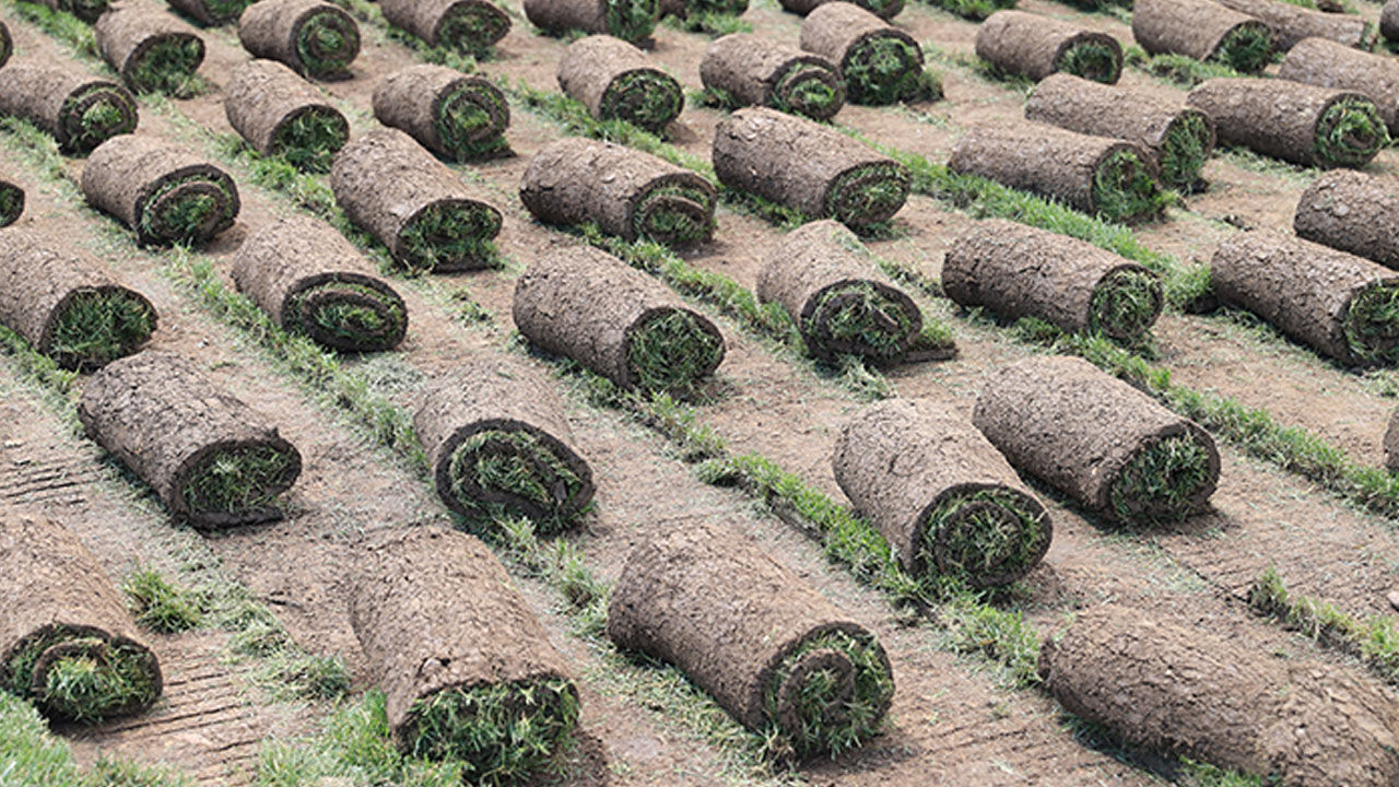 100 bin metrekareden 5 milyona… Küçük köyde başladı, dev kulüpler sıraya girdi - 4. Resim