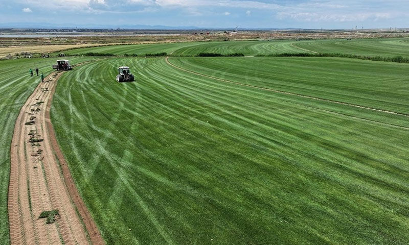 100 bin metrekareden 5 milyona… Küçük köyde başladı, dev kulüpler sıraya girdi - 3. Resim