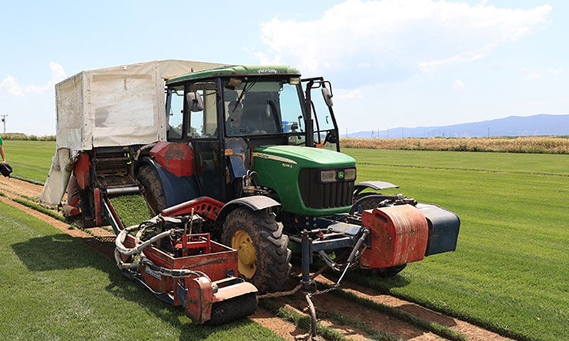 100 bin metrekareden 5 milyona… Küçük köyde başladı, dev kulüpler sıraya girdi - 2. Resim