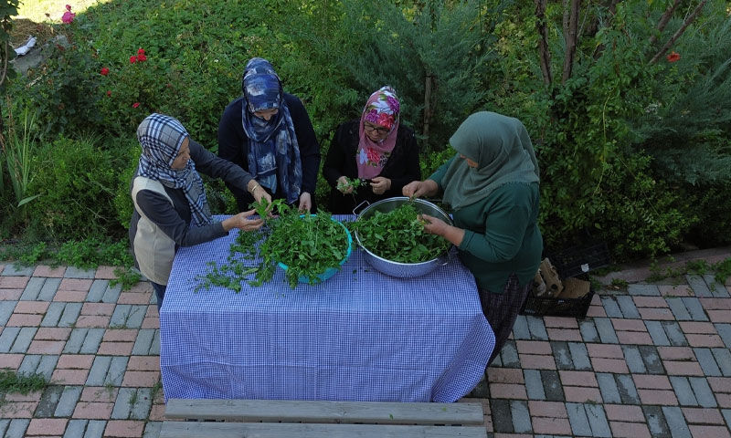 Astımın şifası ‘yeşil pekmez’ yok satıyor! Şişesi 200 TL - 4. Resim