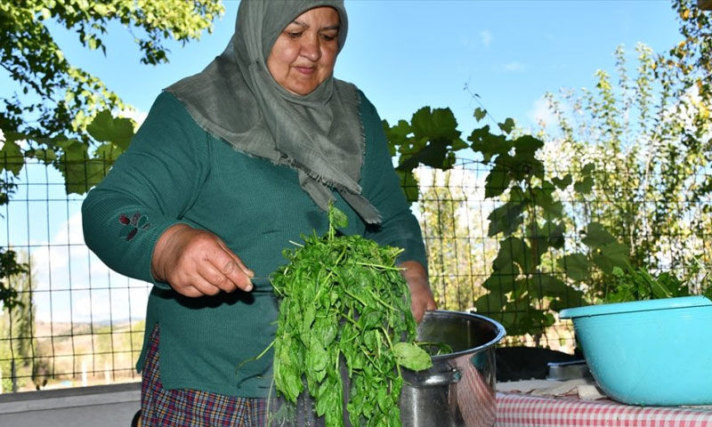 Astımın şifası ‘yeşil pekmez’ yok satıyor! Şişesi 200 TL - 1. Resim