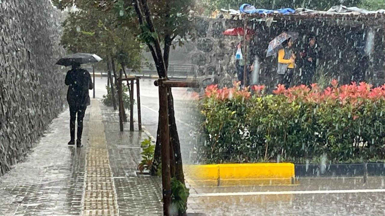 Yaşam