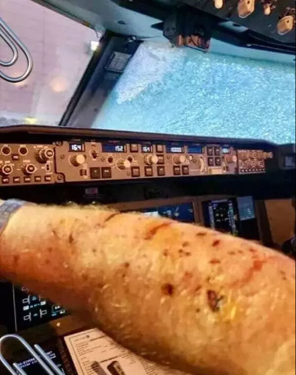 Havada korku dolu anlar! Uçağa meteor çarptı, pilot kanlar içinde kaldı - 2. Resim