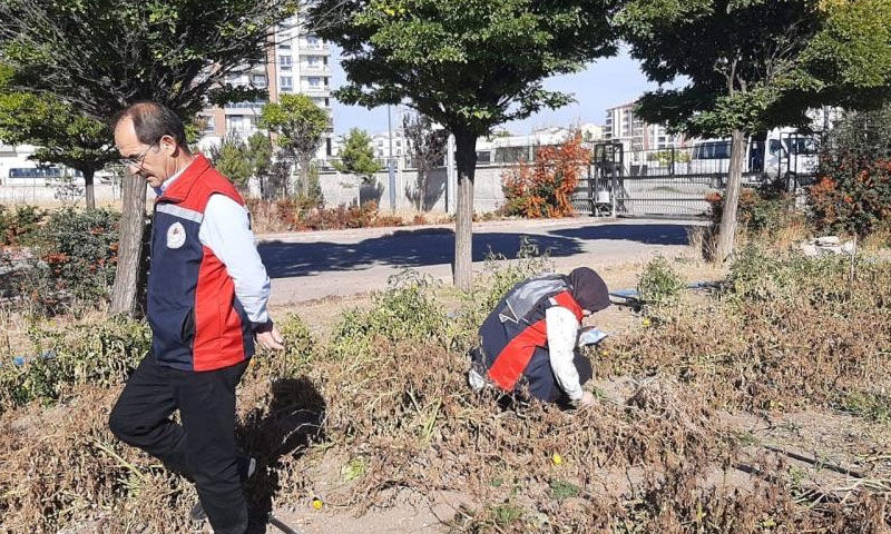 İklim değişti, tehlike yayıldı! Tarımı vuran böcek Sivas’ta görüldü - 1. Resim