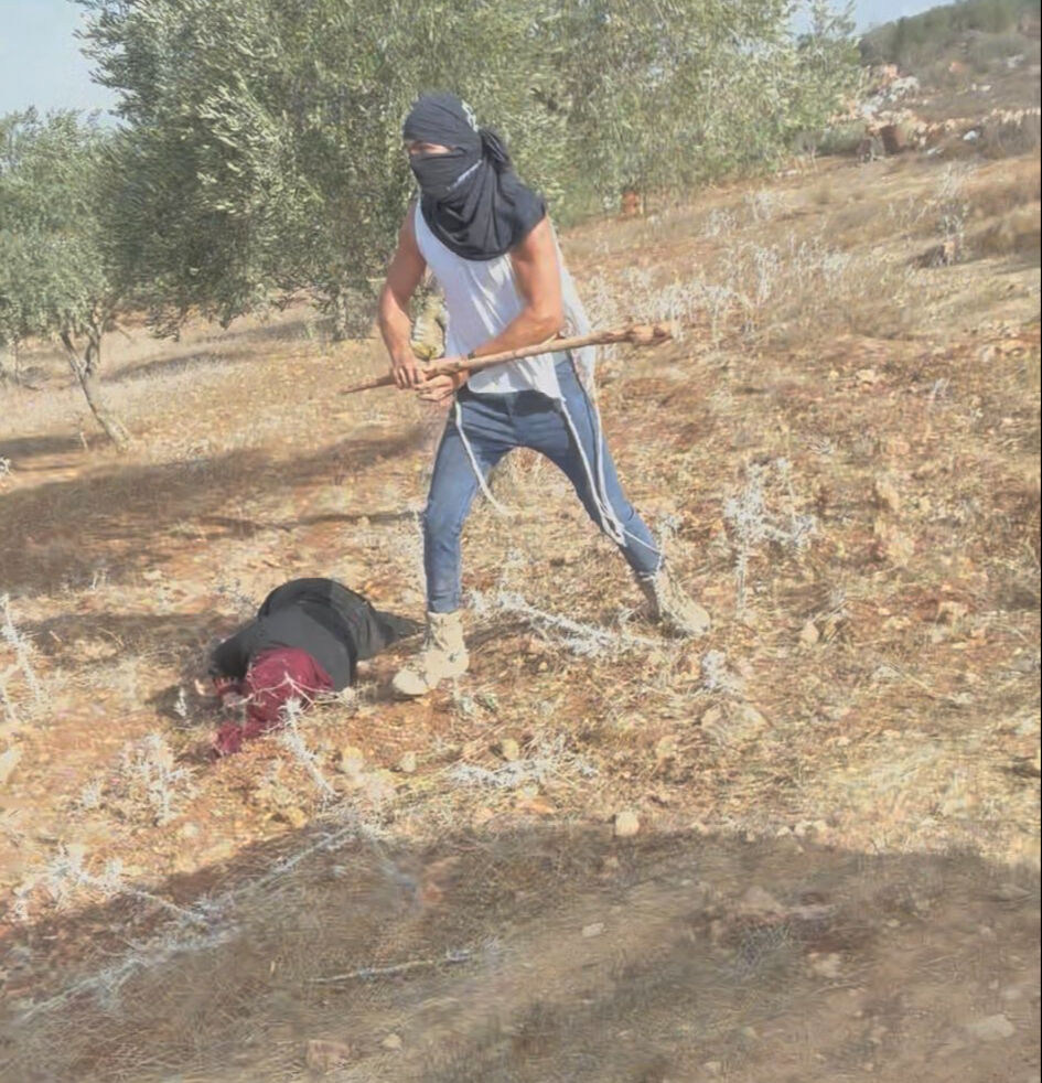 İsrail’in zeytin hasadı yapan Filistinlilere saldırmasına tepki yağdı! 