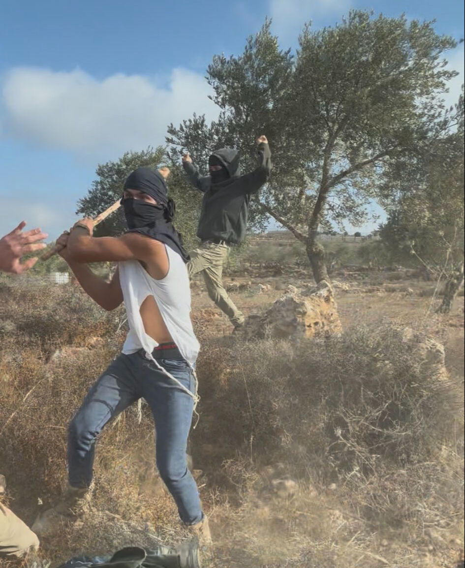 İsrail’in zeytin hasadı yapan Filistinlilere saldırmasına tepki yağdı! 