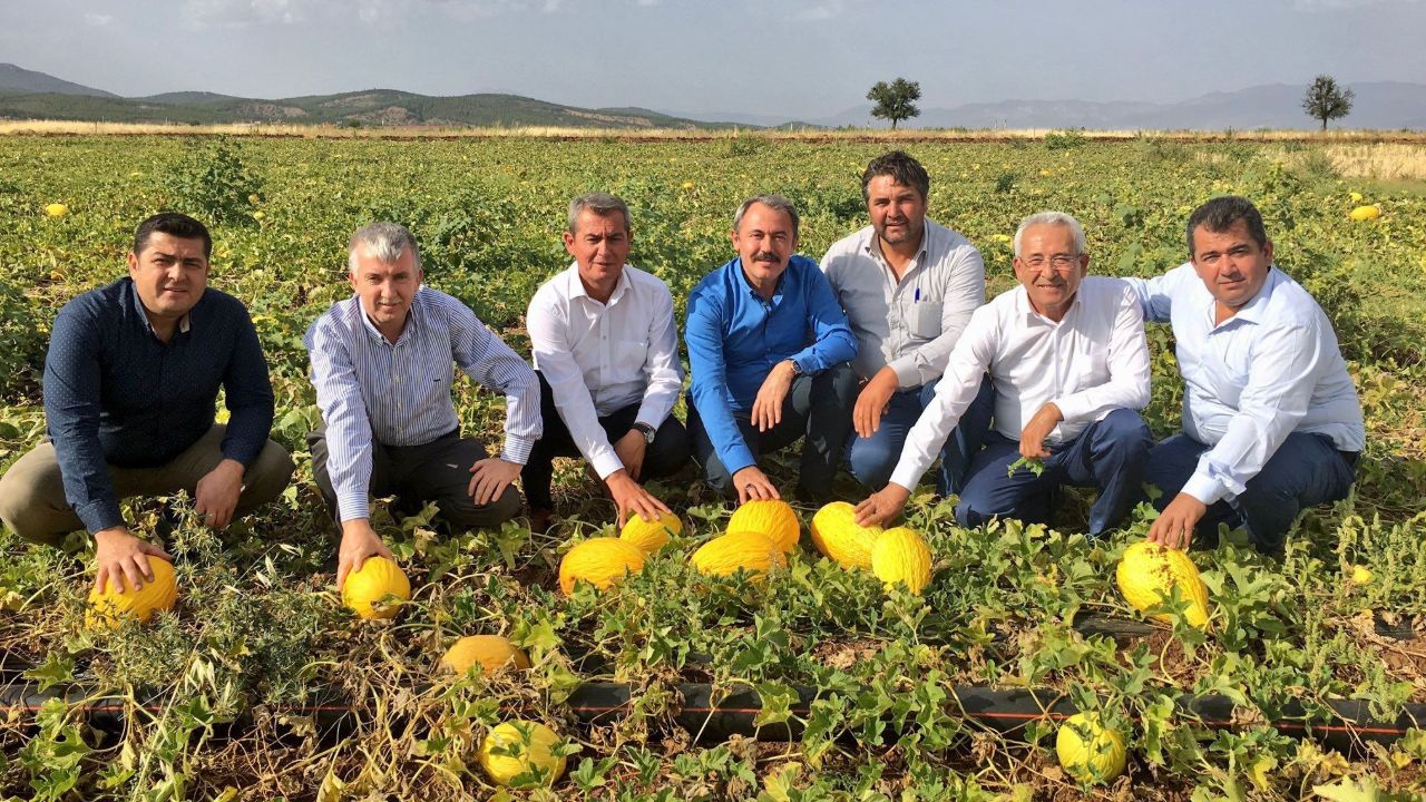Kilosu 10 lira! Tadı ve fiyatıyla memnun eden lezzet tescillendi Kilosu 10 lira! Tadı ve fiyatıyla memnun eden lezzet tescillendi
