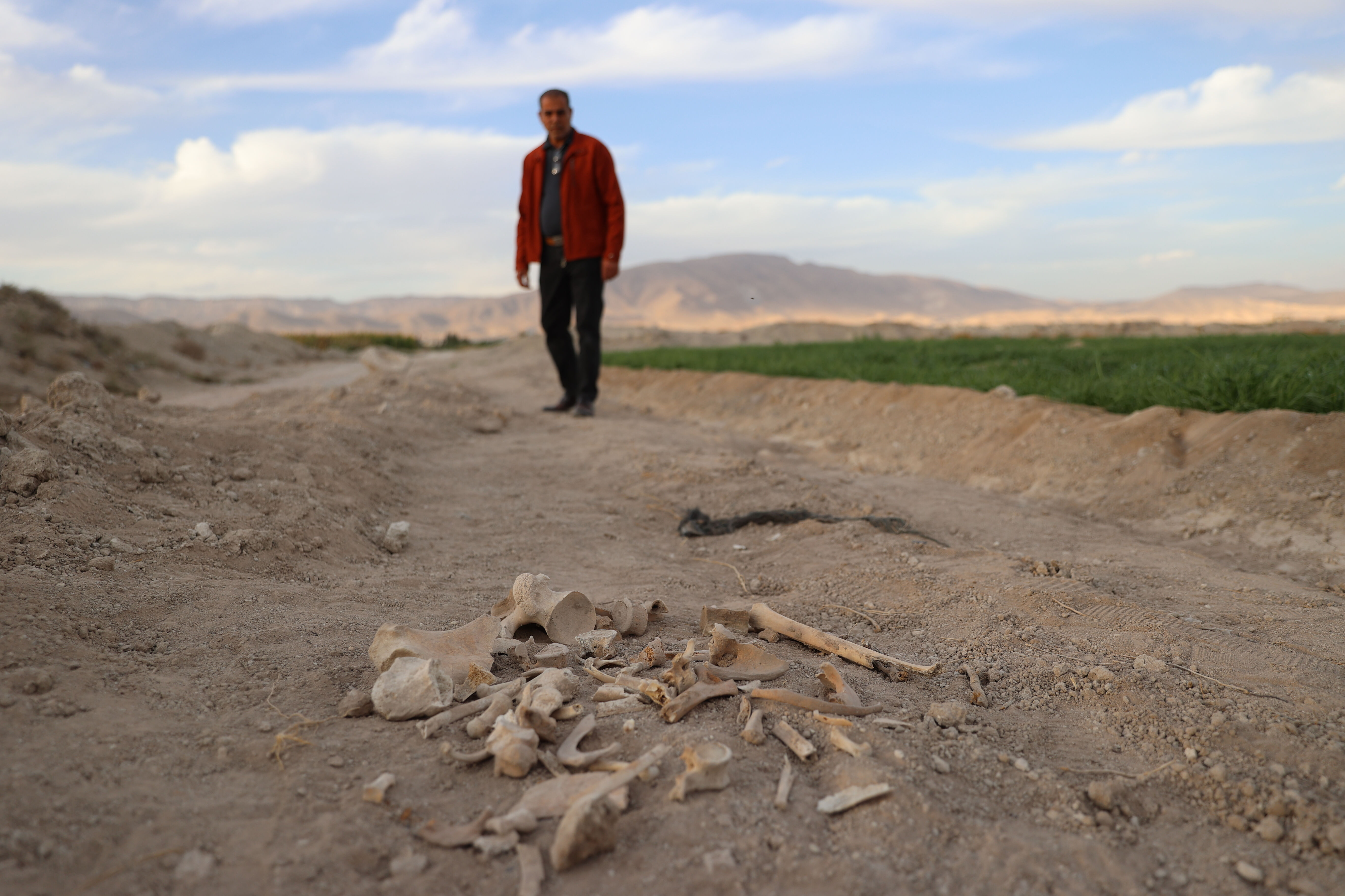 Suriye'de tüyler ürperten görüntüler... Şam'da toplu mezar bulundu - 1. Resim