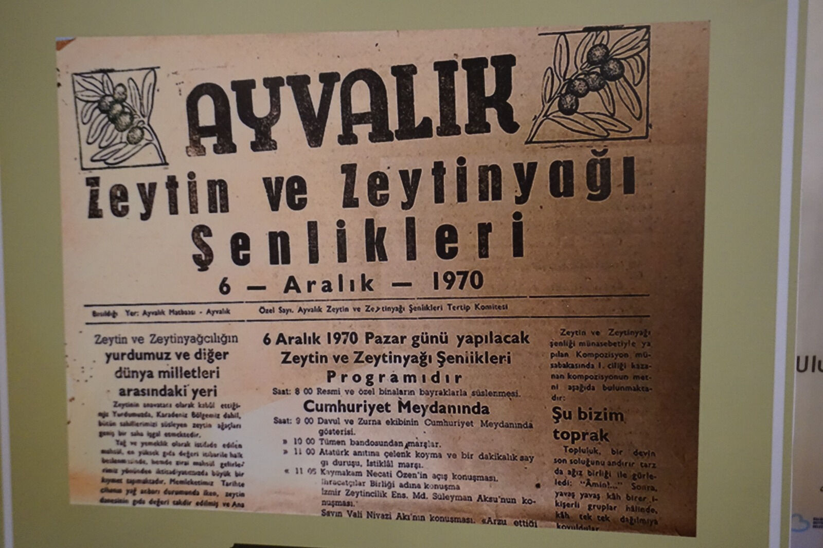 Terimler arasında sıkışan 'Zeytinyağı'!