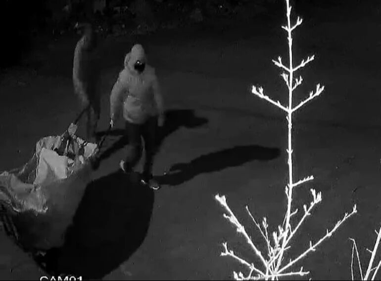 Acemi hırsızı bağırsakları ele verdi! Ger&ccedil;ek seneler sonra ortaya &ccedil;ıktı - 1. Resim