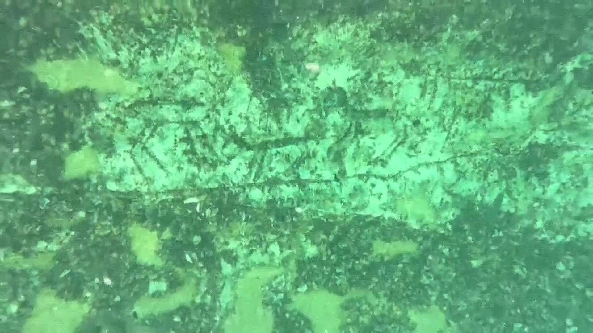 Adıyaman'da suların çekilmesiyle ortaya çıktı: Tam 12 bin yaşında - 4. Resim